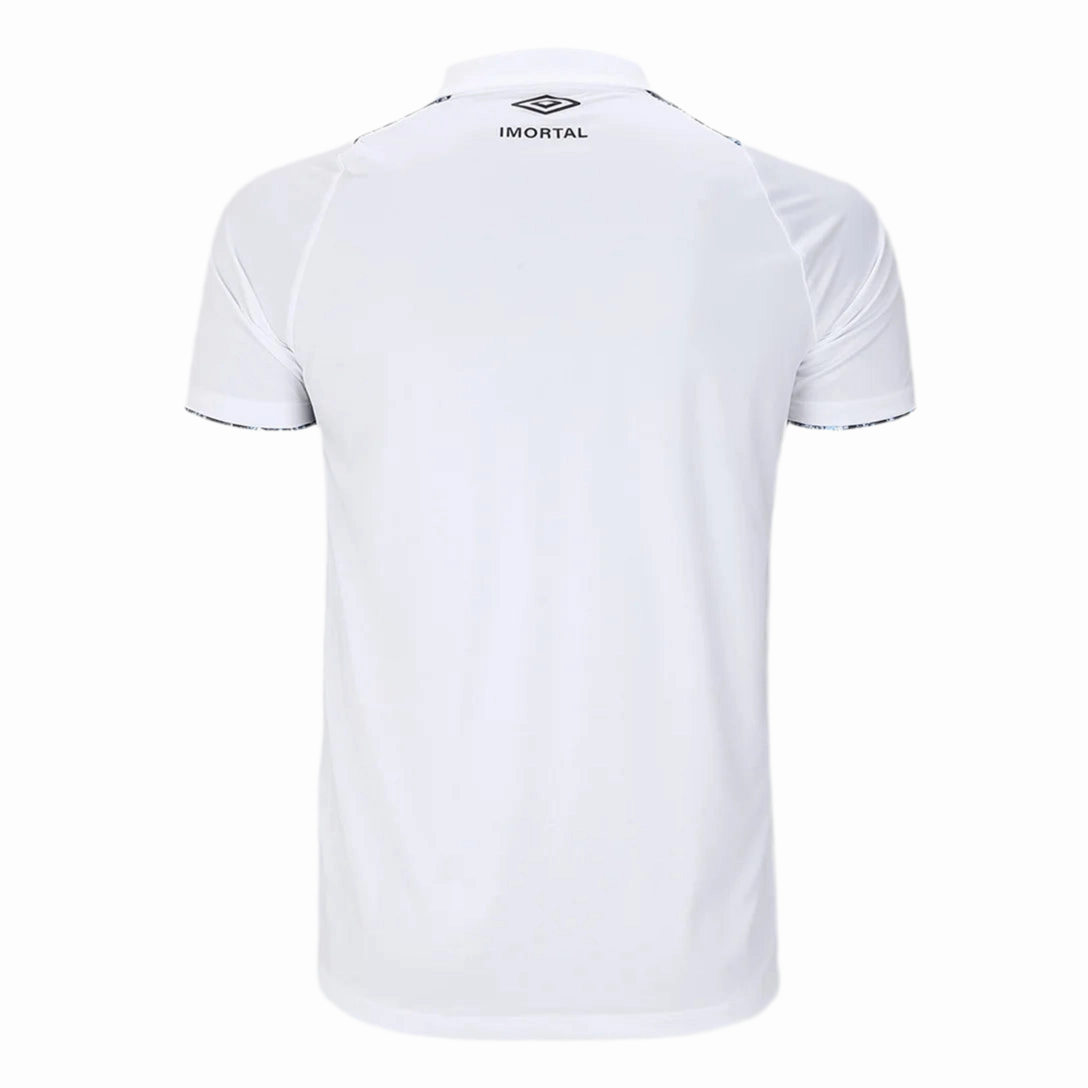 Camisa Grmio II 24/25 - Verso - Torcedor football fan face paint