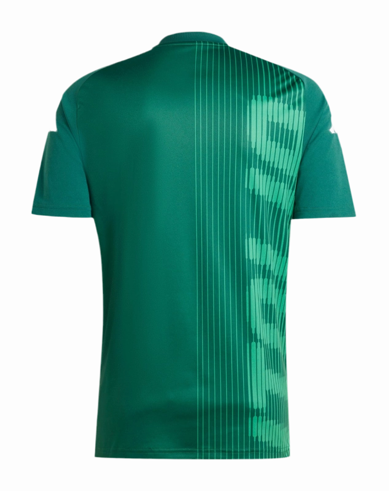 Camisa Itlia Pr Jogo 24/25 - Verso - Torcedor football stadium merchandise