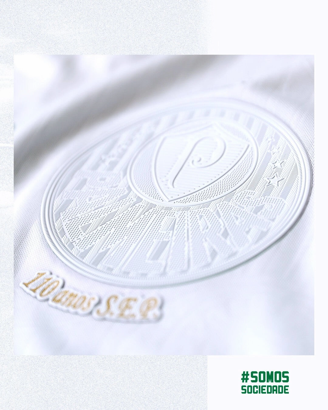 Camisa Palmeiras Edio Especial Somos Sociedade 24/25 - Verso - Torcedor premier league scarves