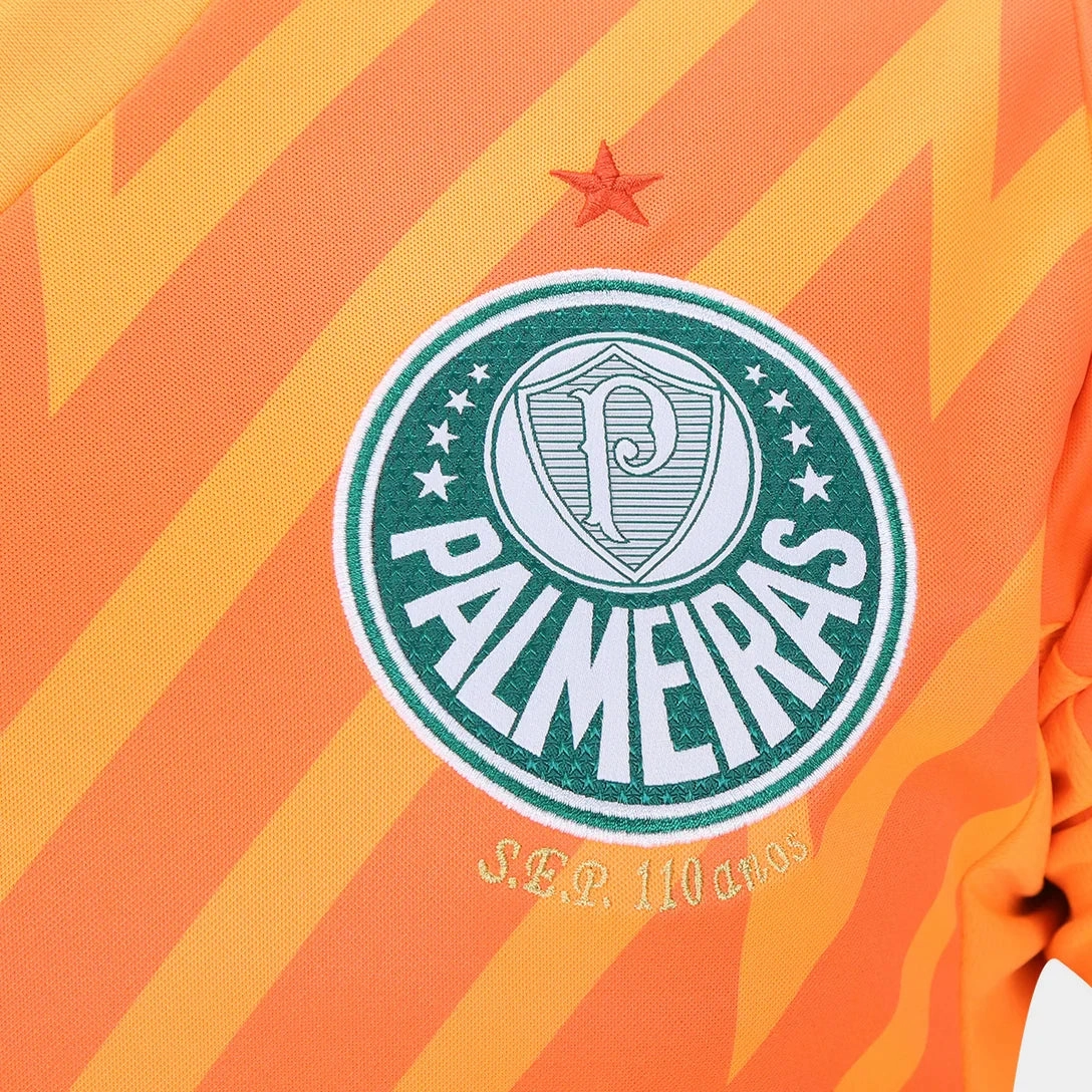 Camisa Palmeiras Goleiro 24/25 - Verso - Torcedor football fan face masks