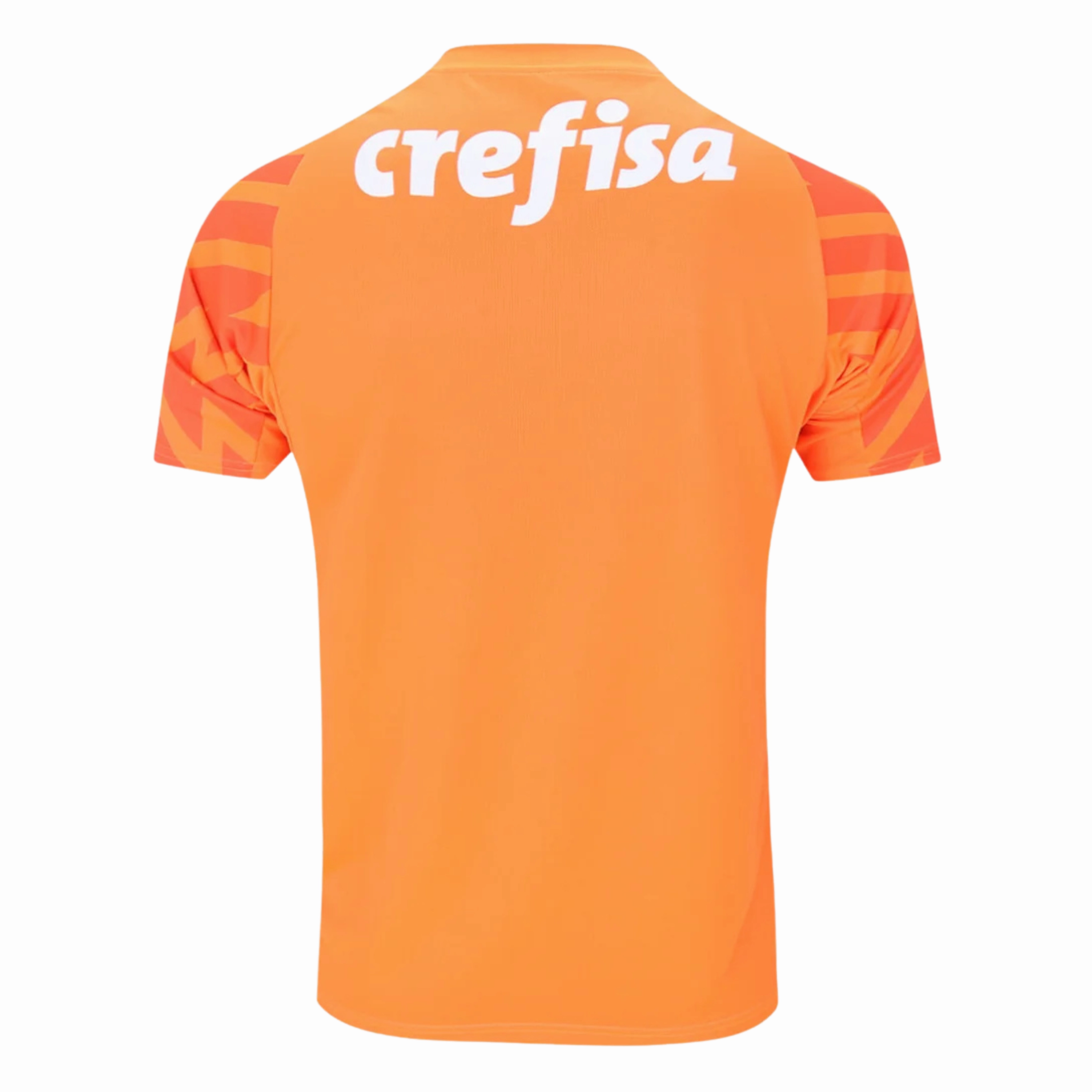 Camisa Palmeiras Goleiro 24/25 - Verso - Torcedor football fan face masks