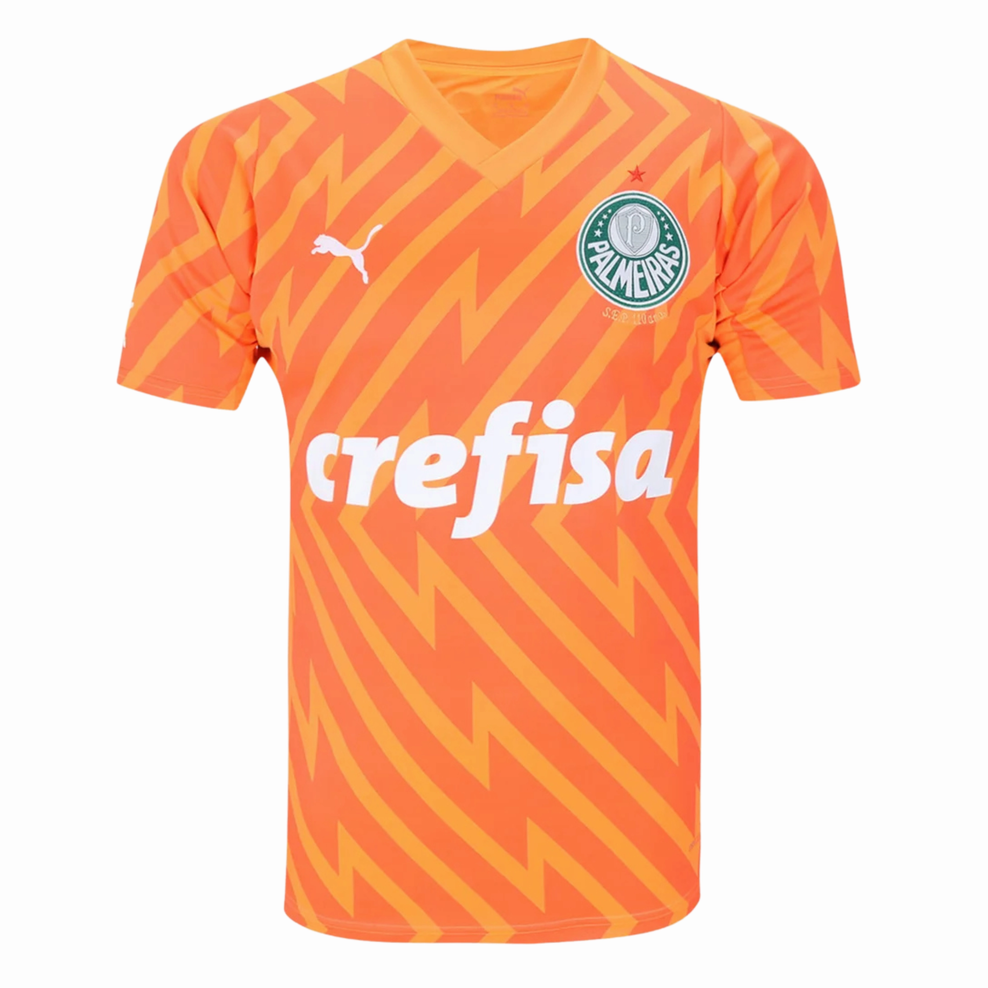 Camisa Palmeiras Goleiro 24/25 - Verso - Torcedor football fan face masks soccer fan cushions
