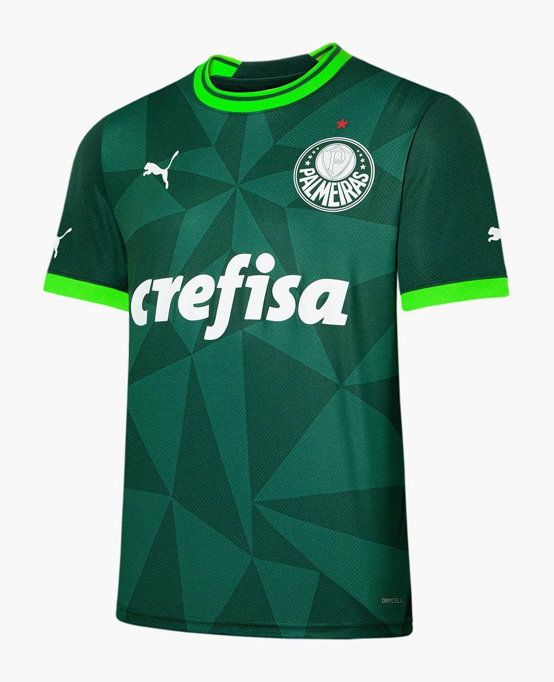 Camisa Palmeiras I 23/24 ENDRICK N9 - Verso - Torcedor soccer fan pins