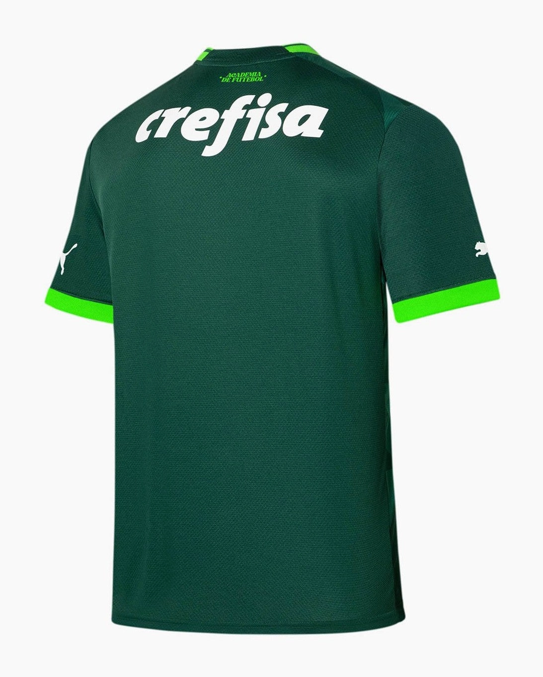 Camisa Palmeiras I 23/24 ENDRICK N9 - Verso - Torcedor soccer fan pins
