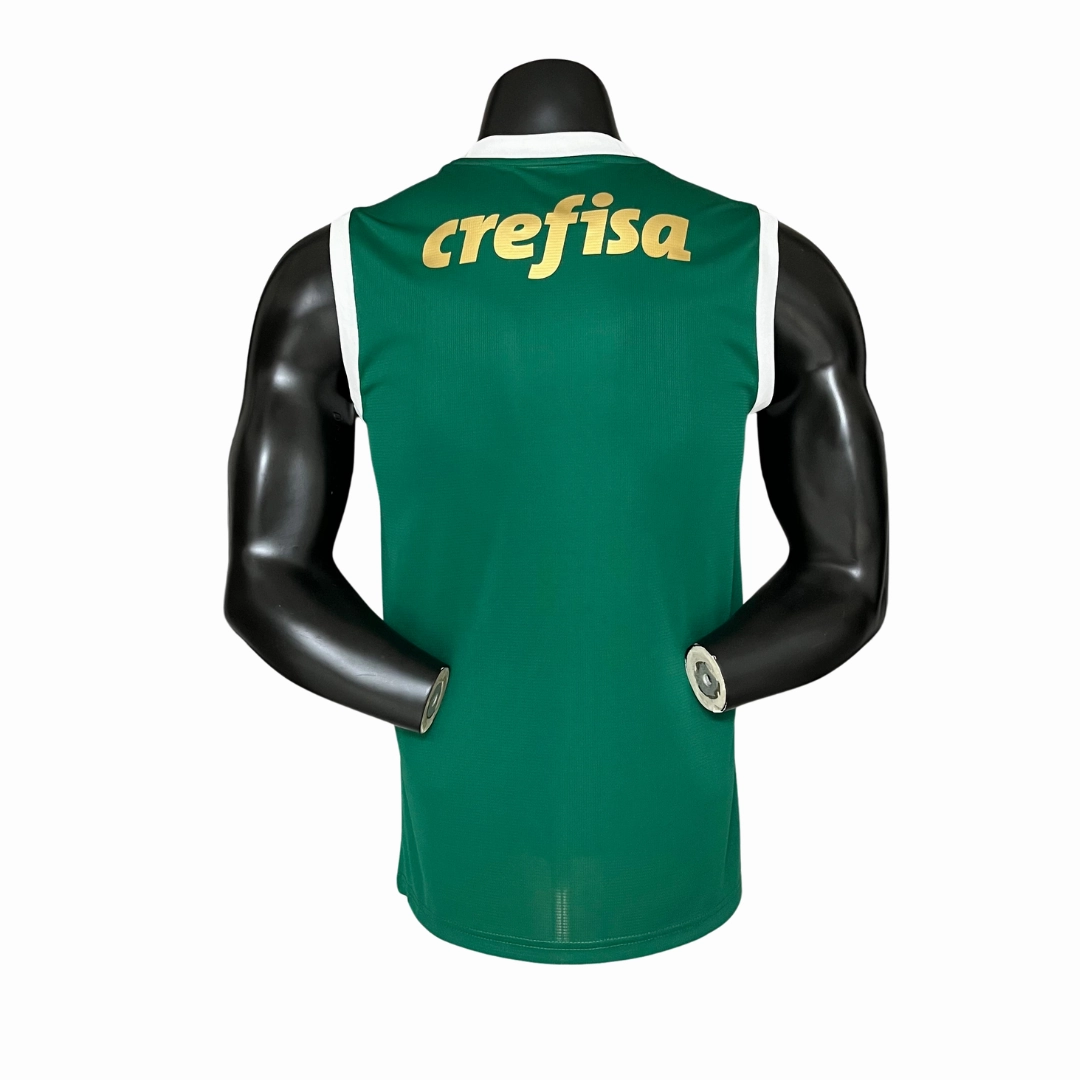 Camisa Palmeiras I 24/25 - Regata - Verso - Torcedor premier league scarves