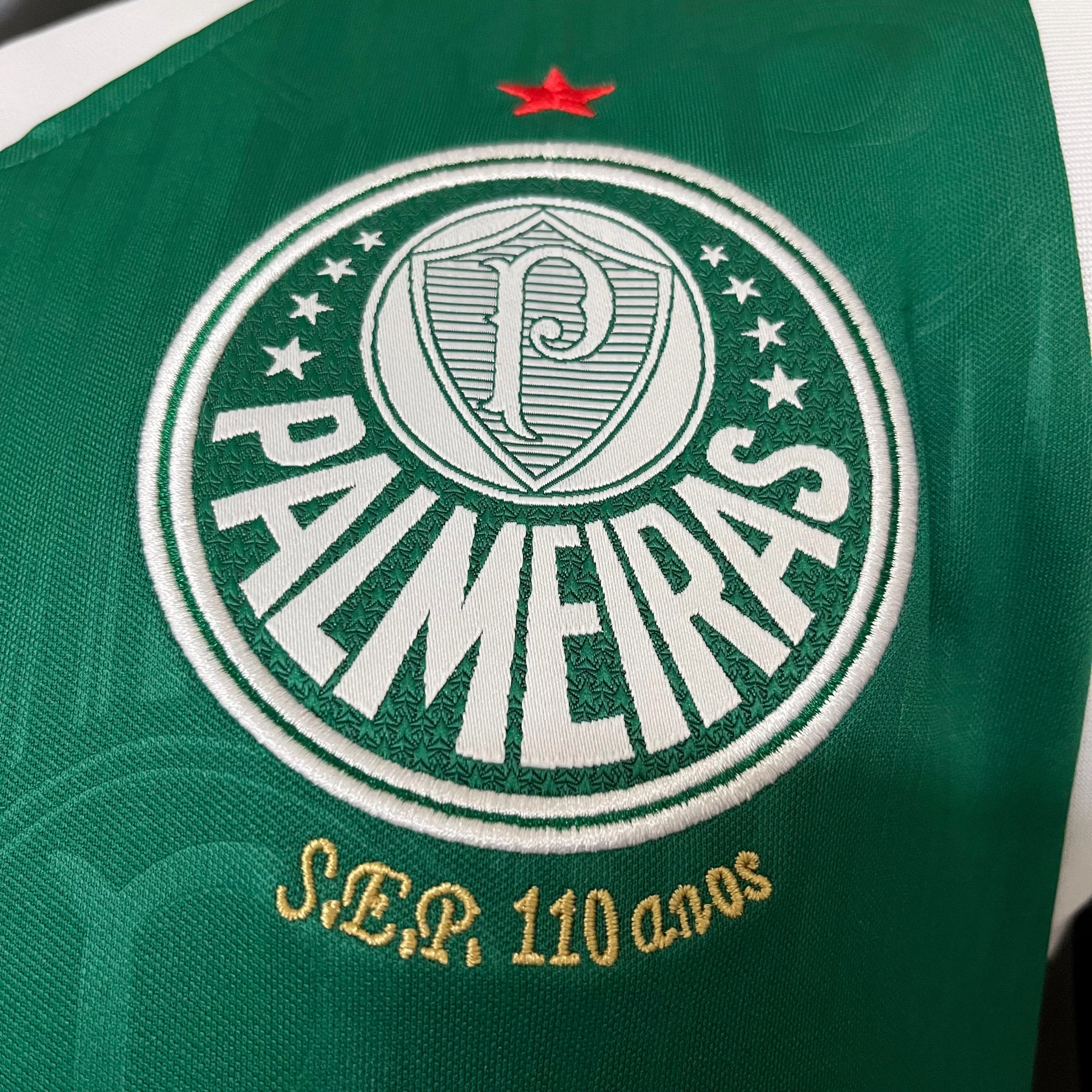 Camisa Palmeiras I 24/25 - Regata - Verso - Torcedor premier league scarves