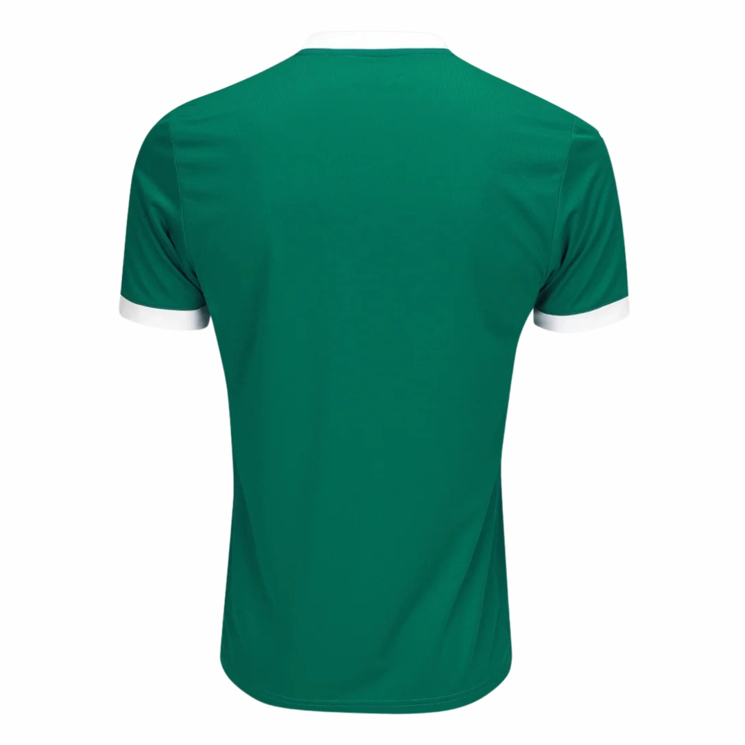 Camisa Palmeiras I 25/26 - Verso - Torcedor premier league hoodies