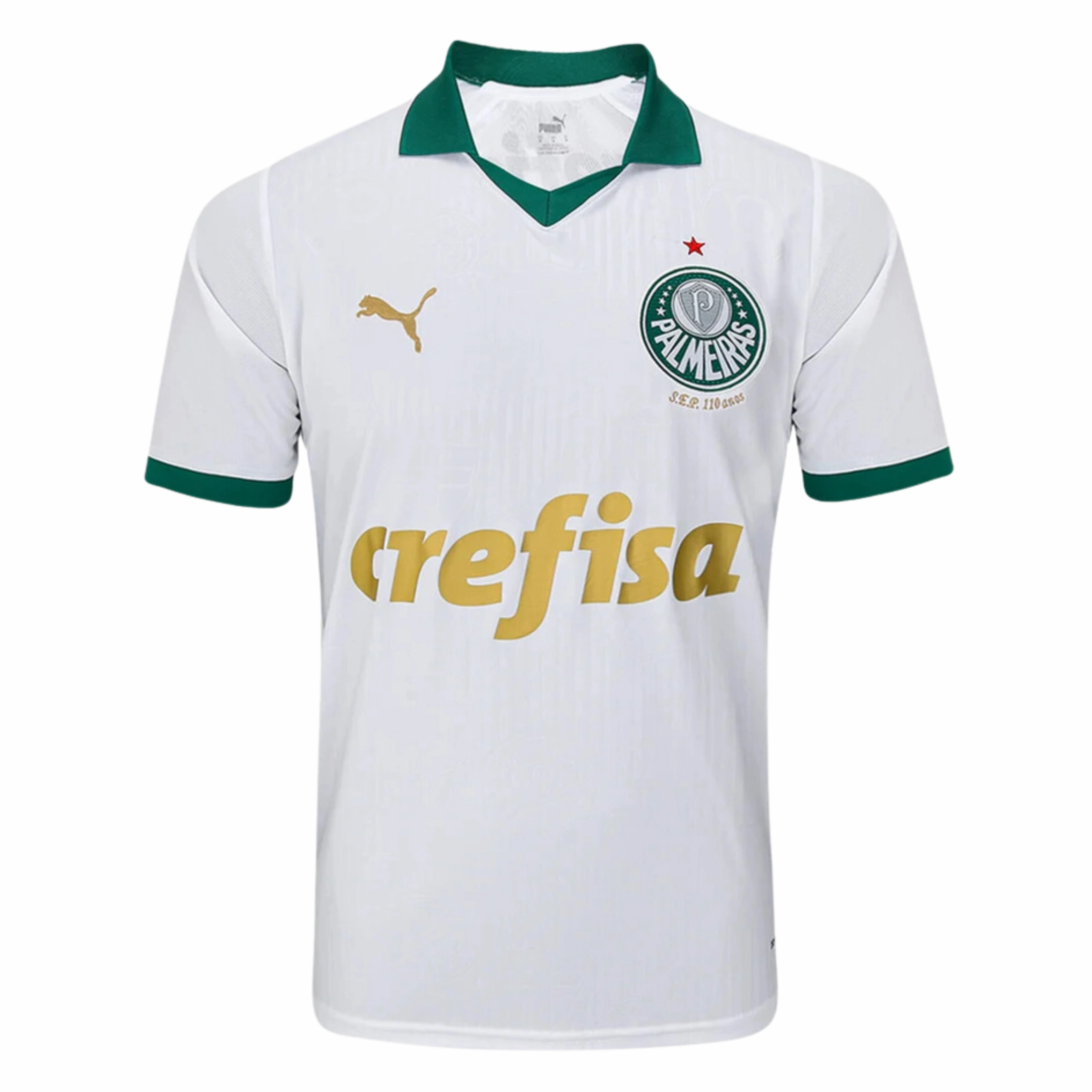 Camisa Palmeiras II 24/25 - Verso - Torcedor football stadium merchandise football fan scarves