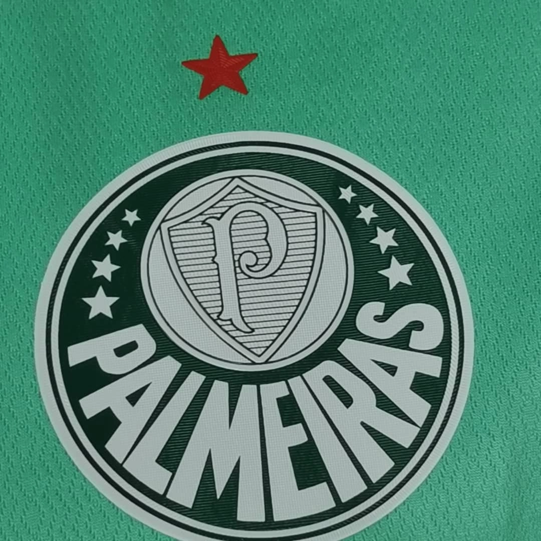 Camisa Palmeiras III 22/23 - Verso - Retr football fan socks