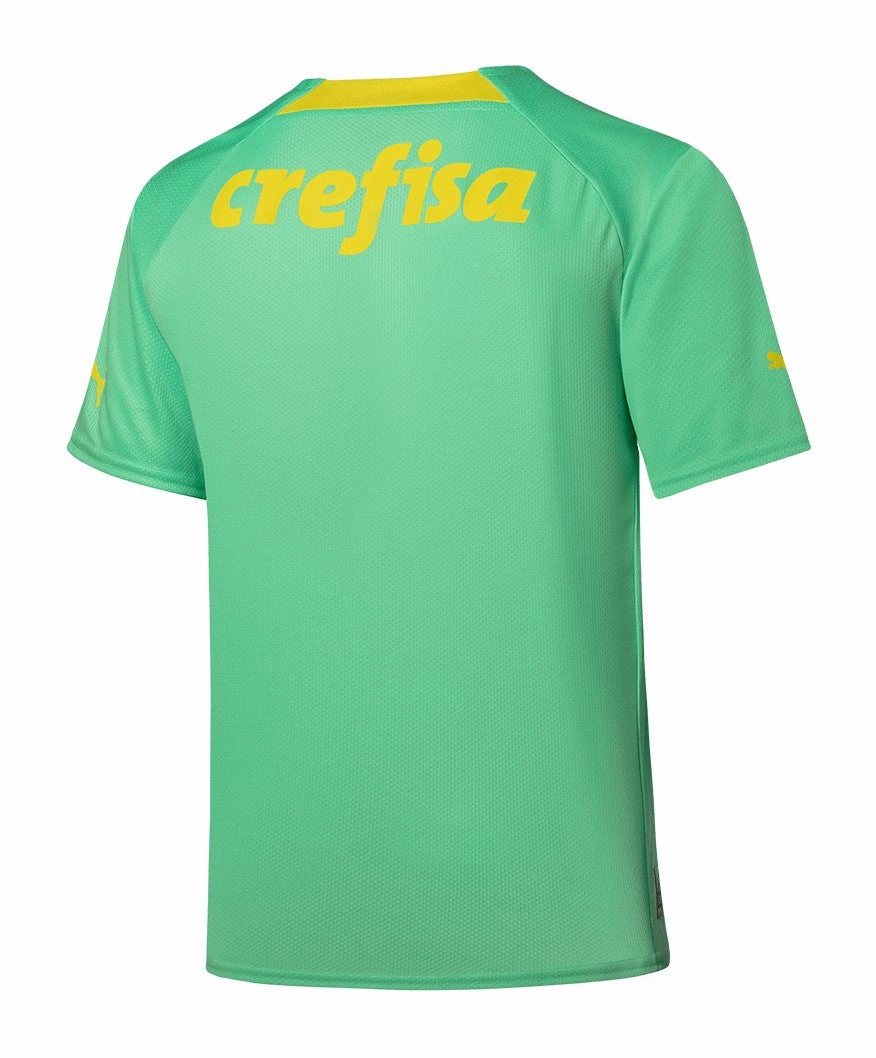 Camisa Palmeiras III 22/23 - Verso - Retr football fan socks