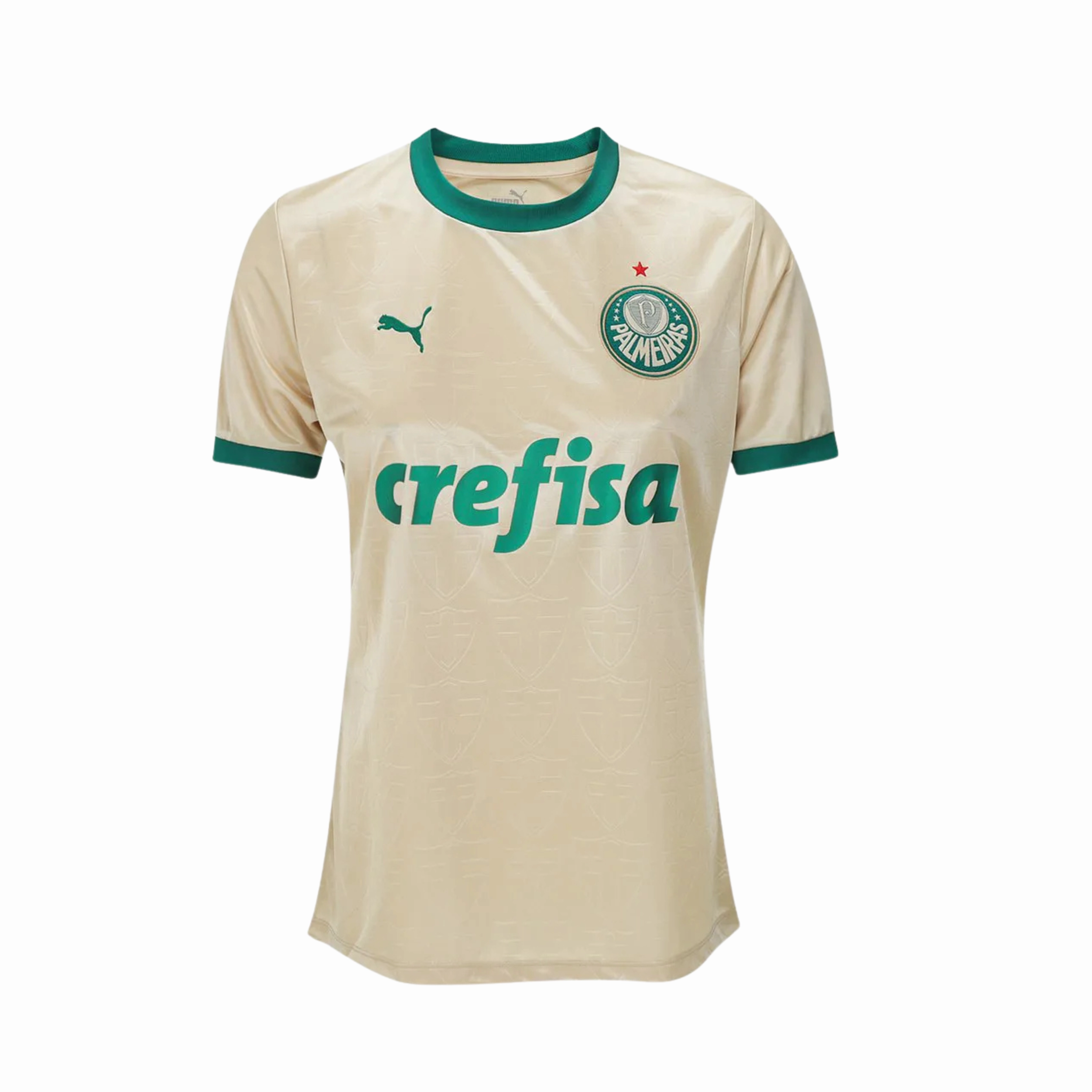 Camisa Palmeiras III 24/25 - Verso - Feminina football fan hats football fan hats