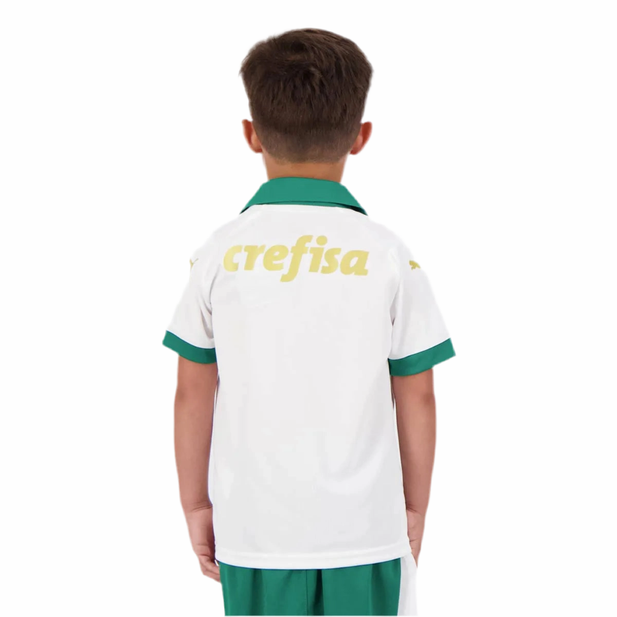 Conjunto Palmeiras II 24/25 - Vers?o - Infantil football fan face paint