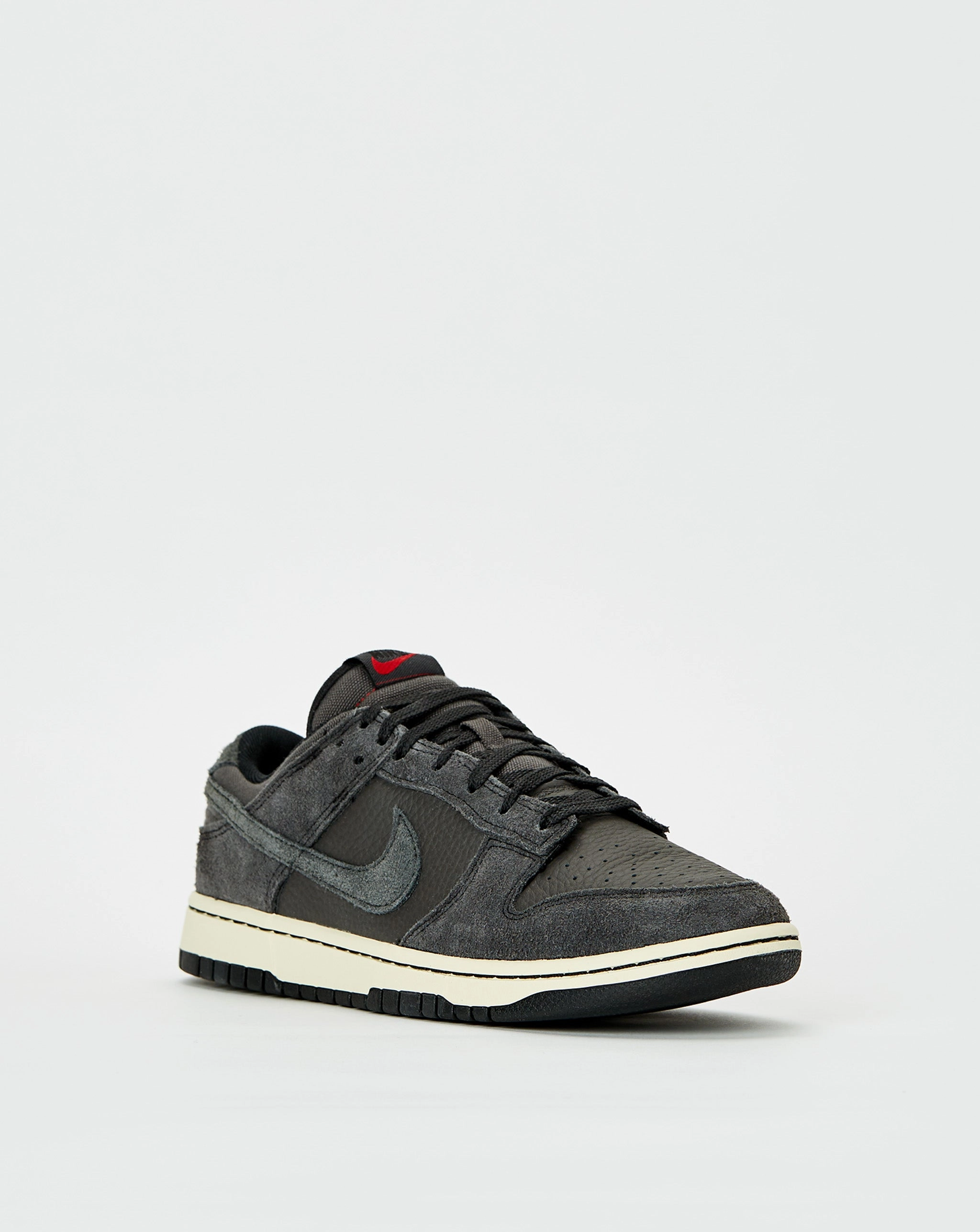 Dunk Low Retro Premium