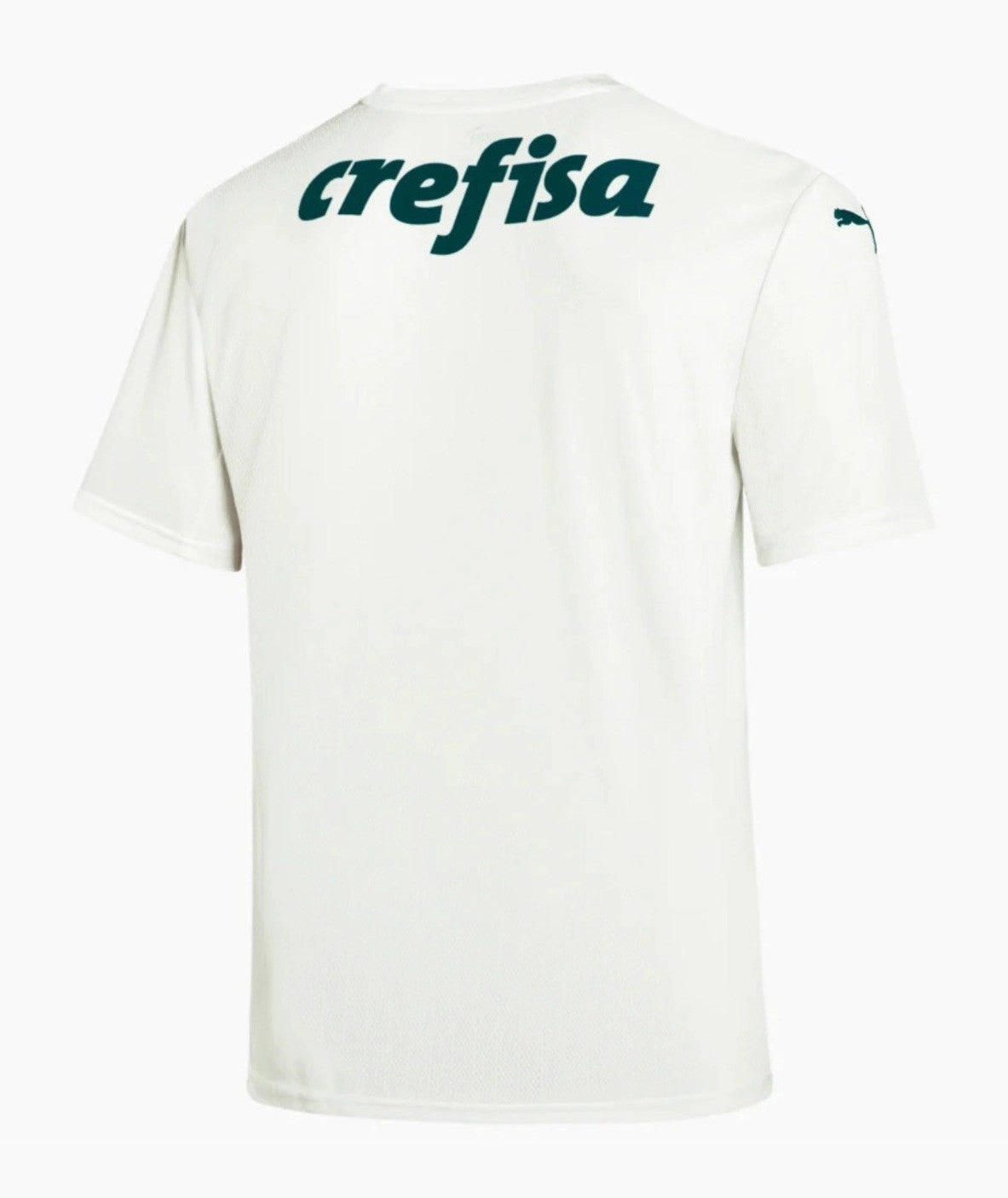 football fan notebooks Camisa Palmeiras II 22/23 - Verso - Retr