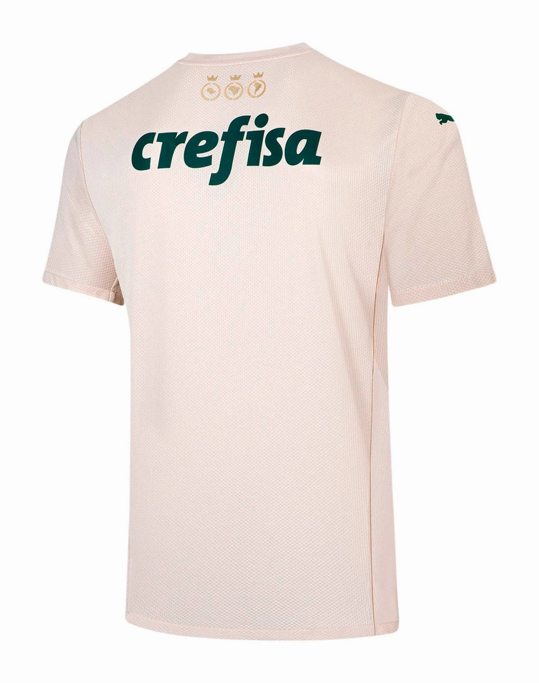 football fan pins Camisa Palmeiras III 21/22 - Verso - Retr