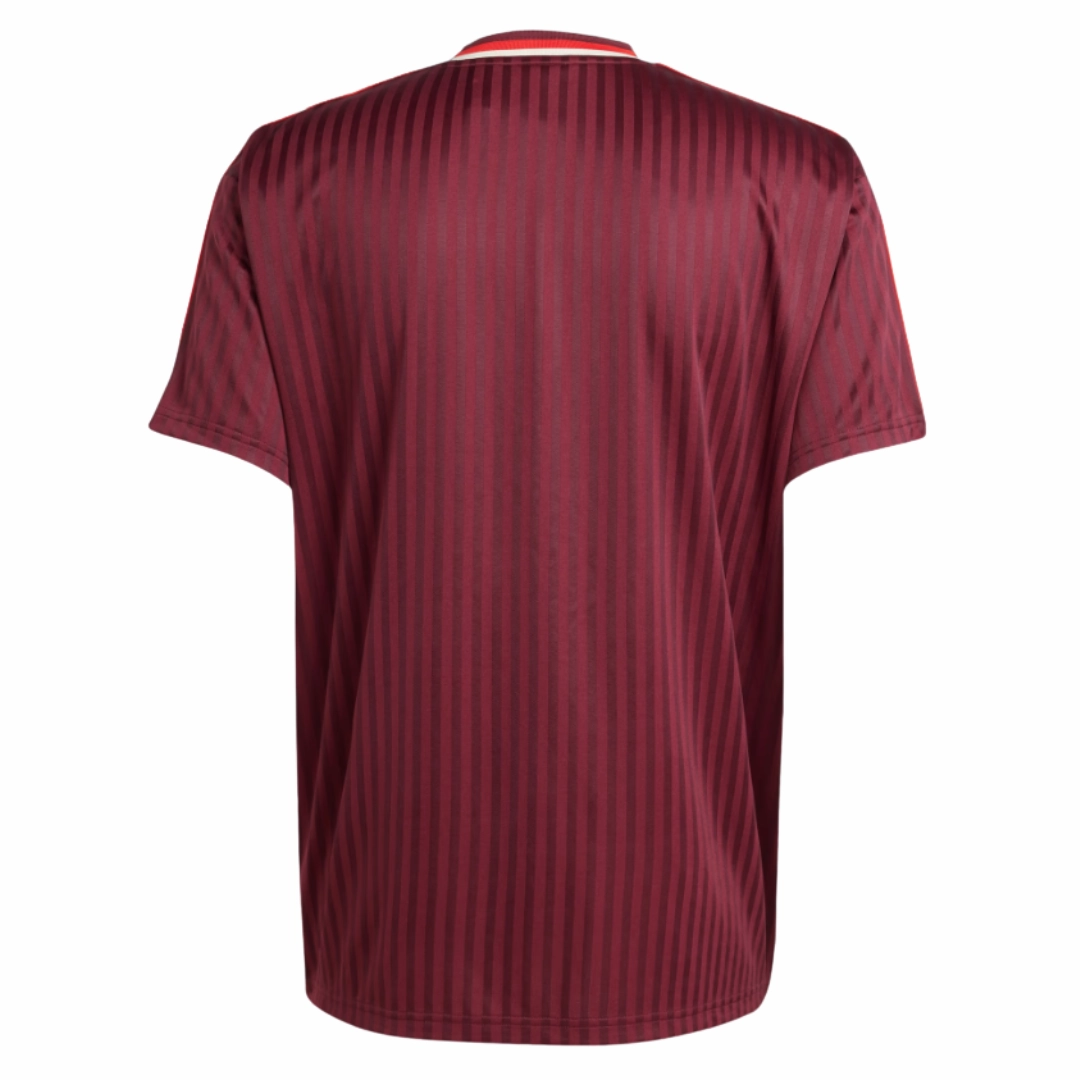 football fans merchandise Camisa Bayern de Munique Edio Especial ICON 25/26 - Verso - Torcedor