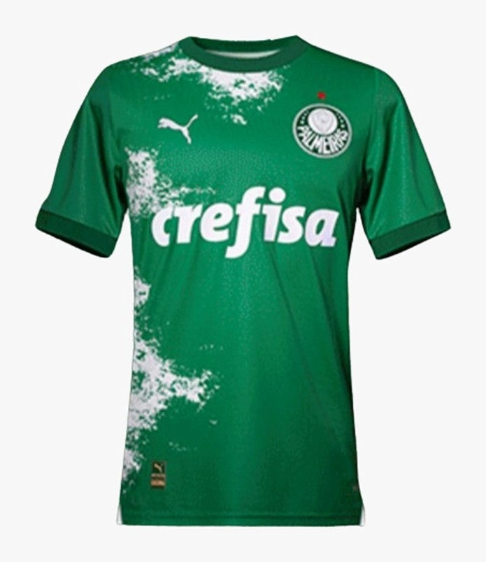 football jersey collection Camisa Palmeiras Edio Especial Meio Ambiente 24/25 - Verso - Torcedor soccer fan pins