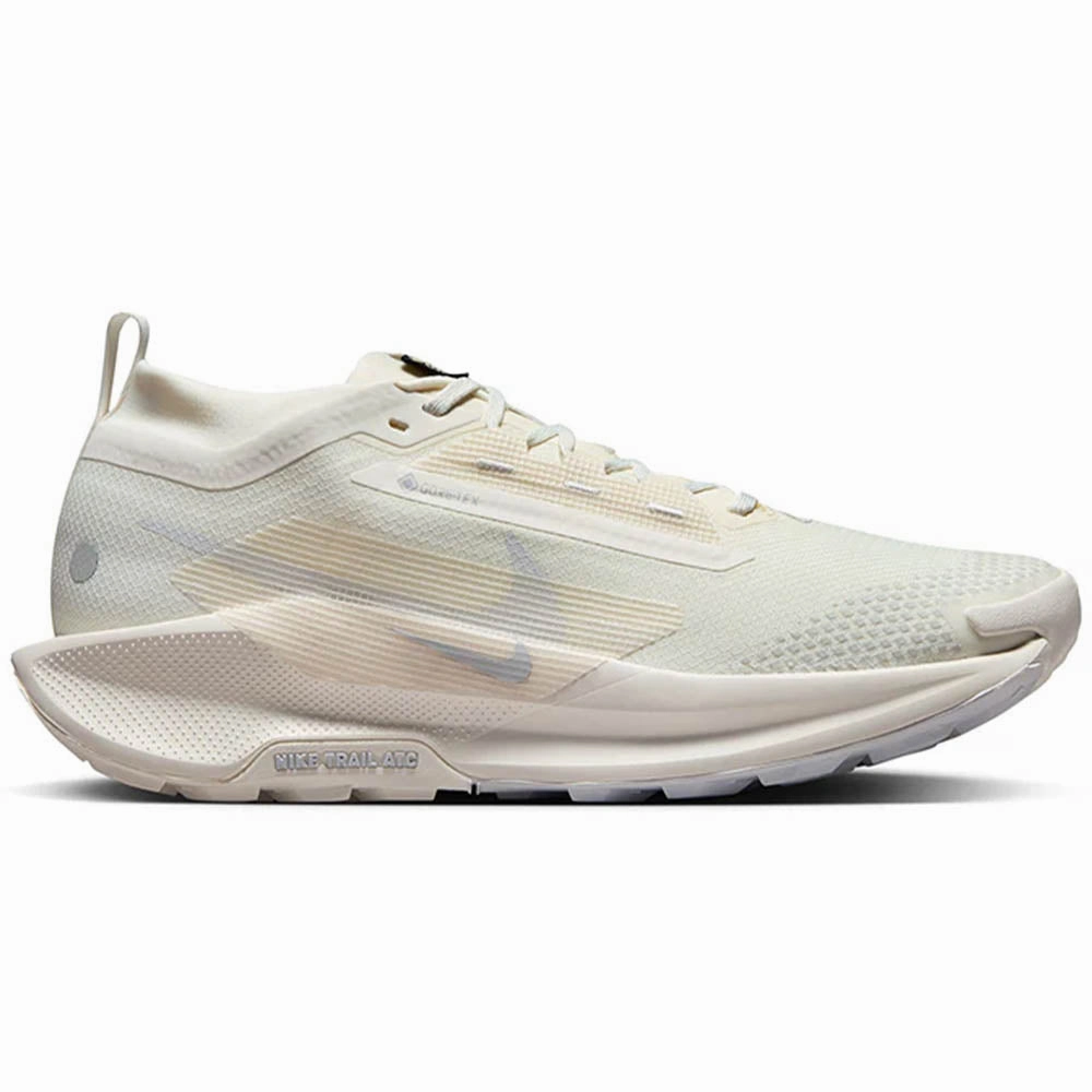 Men's Nike Pegasus Trail 5 GORE-TEX Souvenirs CDs