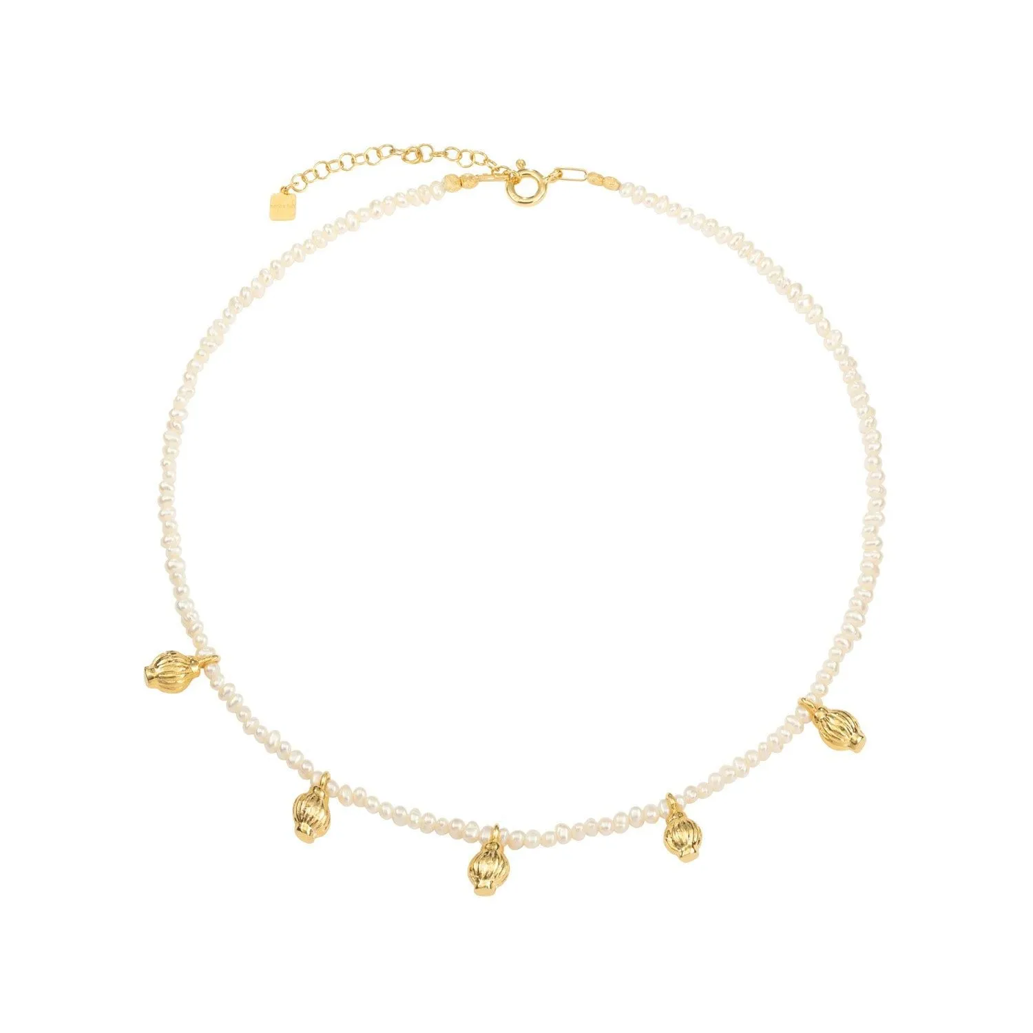 ??nfora 18K Gold Plated Necklace w. Pearls