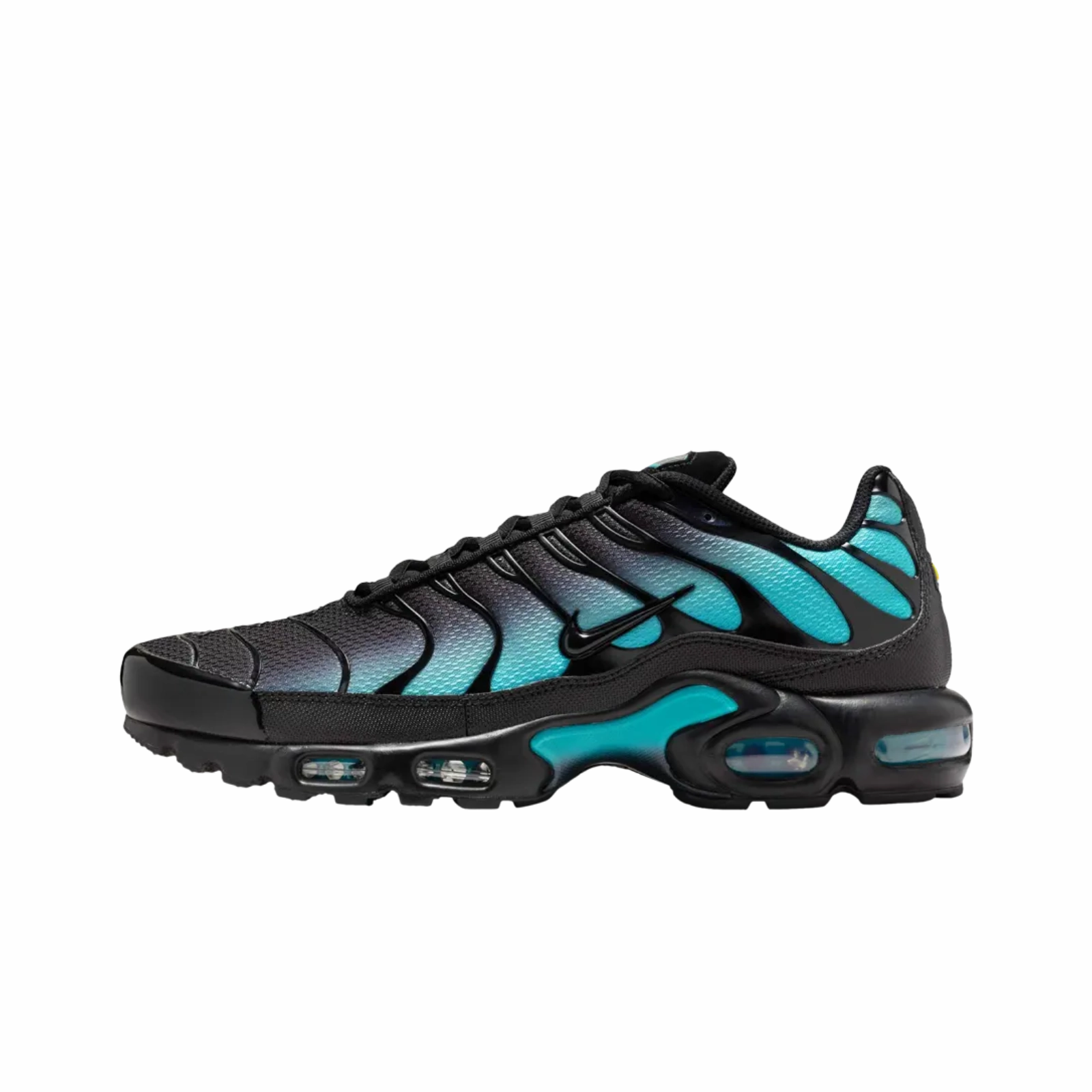Nike Air Max Plus Black Dusty Cactus