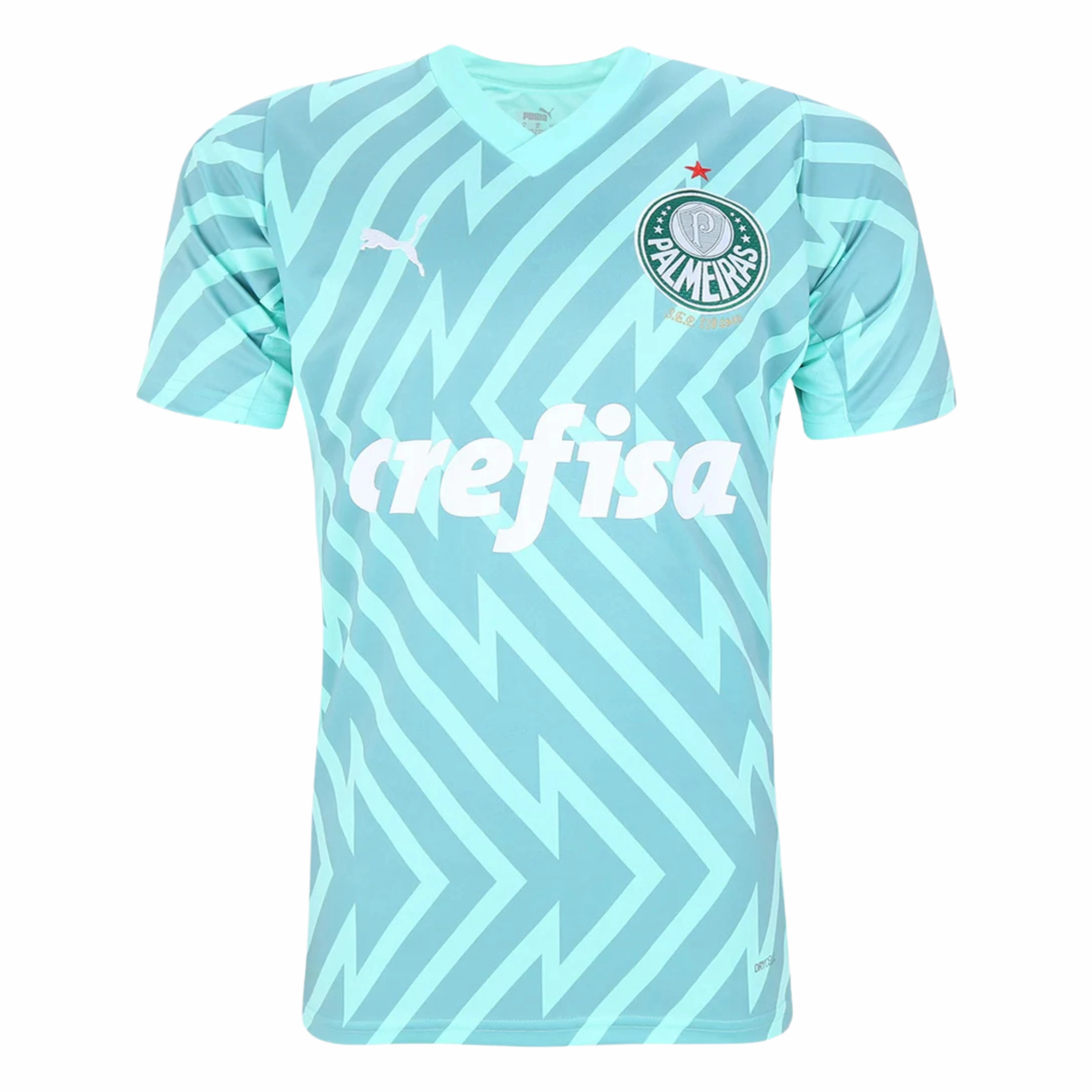 premier league fan shop Camisa Palmeiras Goleiro 24/25 - Verso - Torcedor soccer fan cushions
